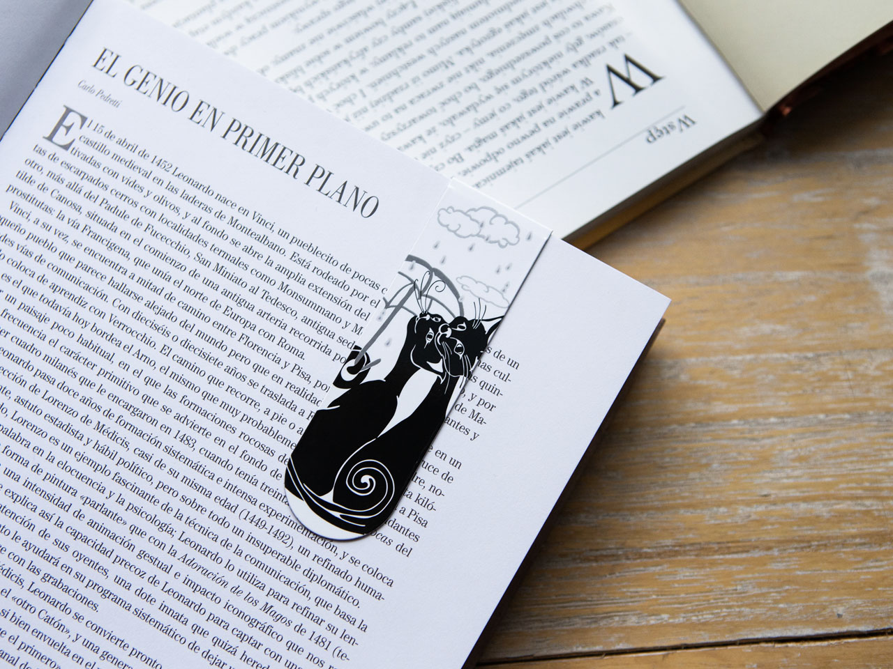 e6d4132c133010de5037a059abbbee42