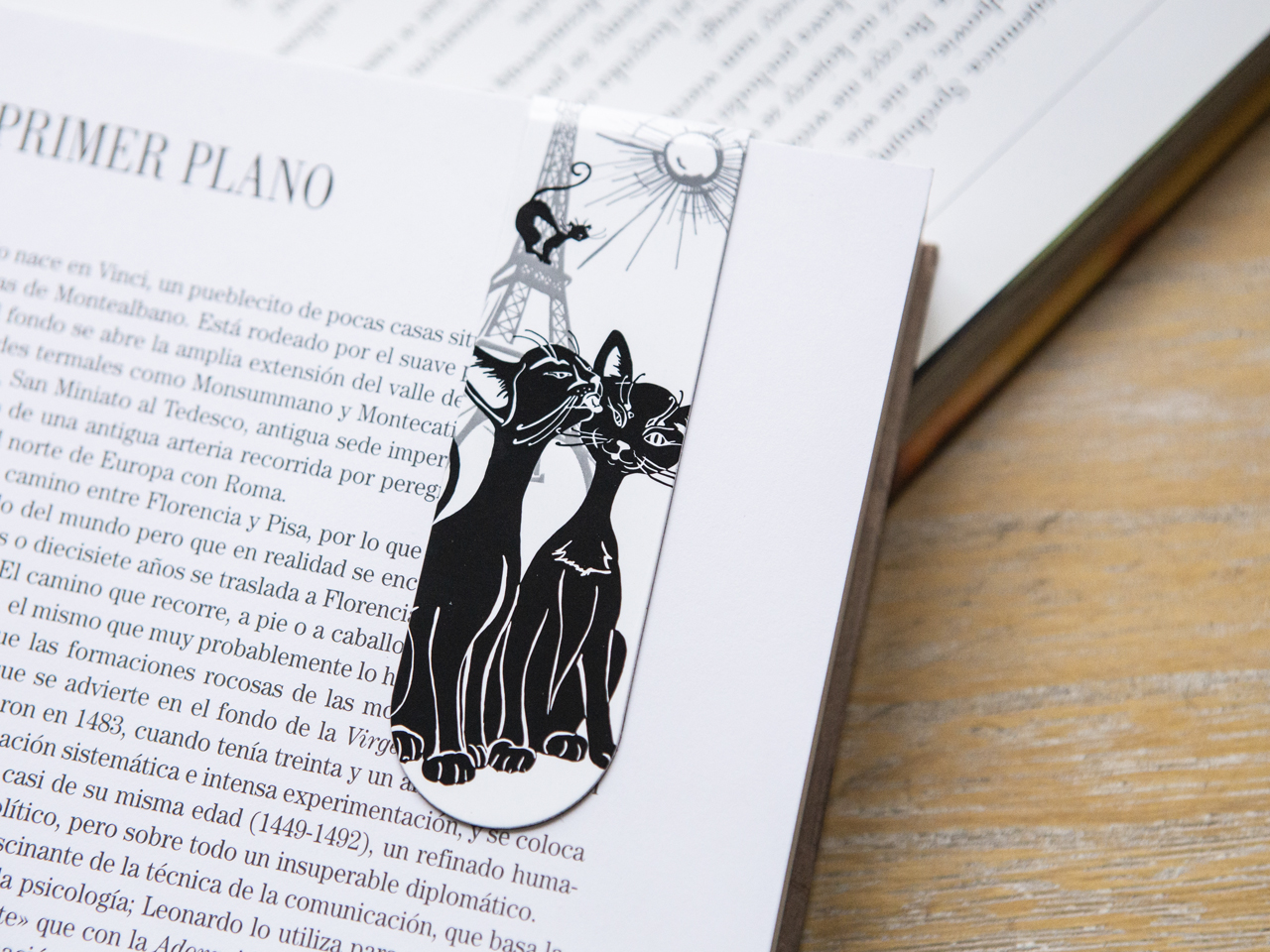 9d5d5a47c8daeafc0167fd0c36c75831