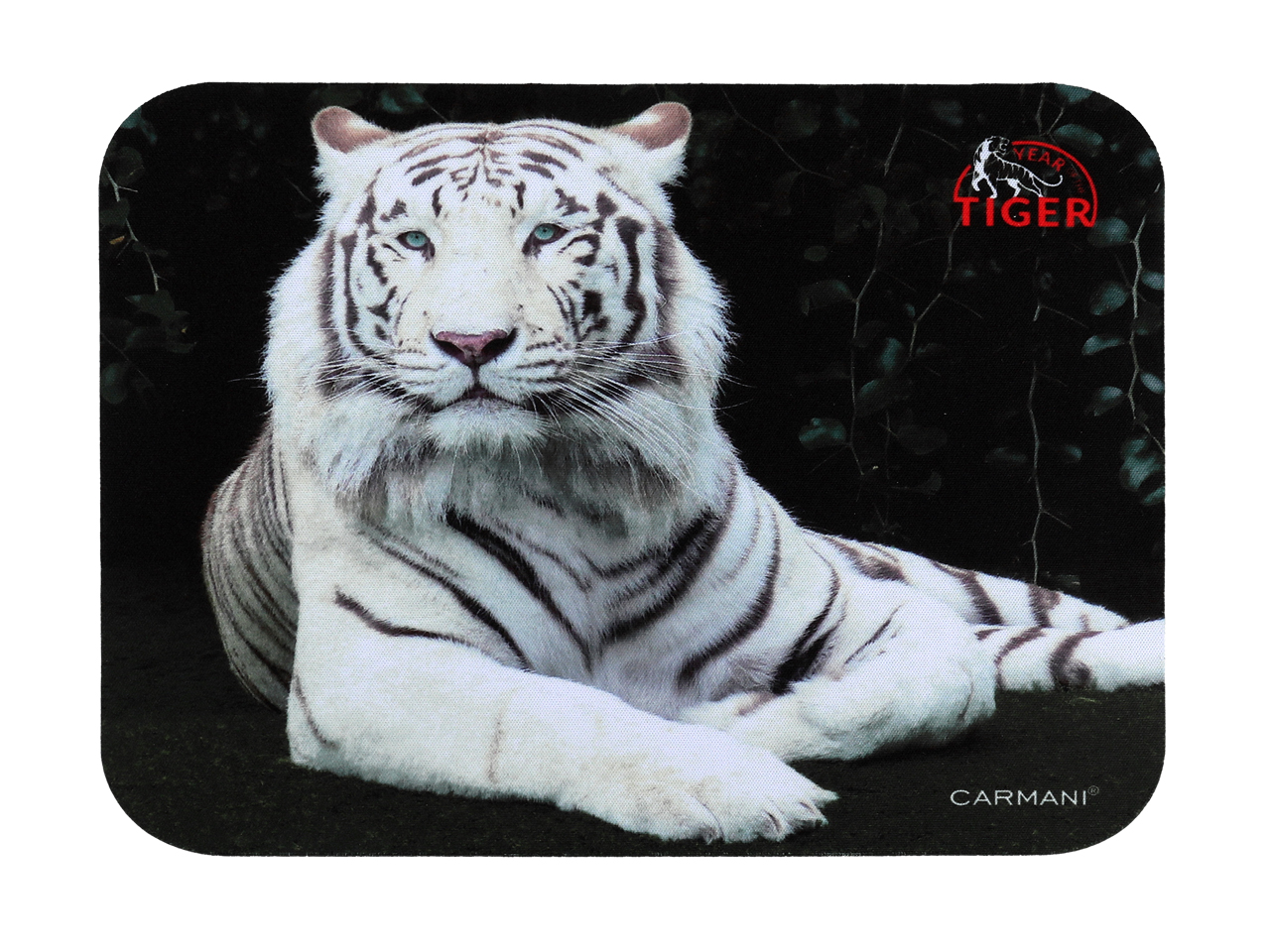 e3ea95308859a279dda57367021a2789