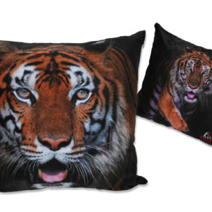 a592ded361281c85a0d977fe1bb156b5