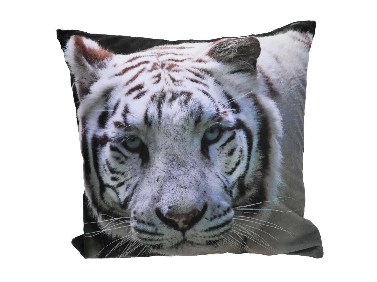 20283d98559a0c8c360c5907159a3b38