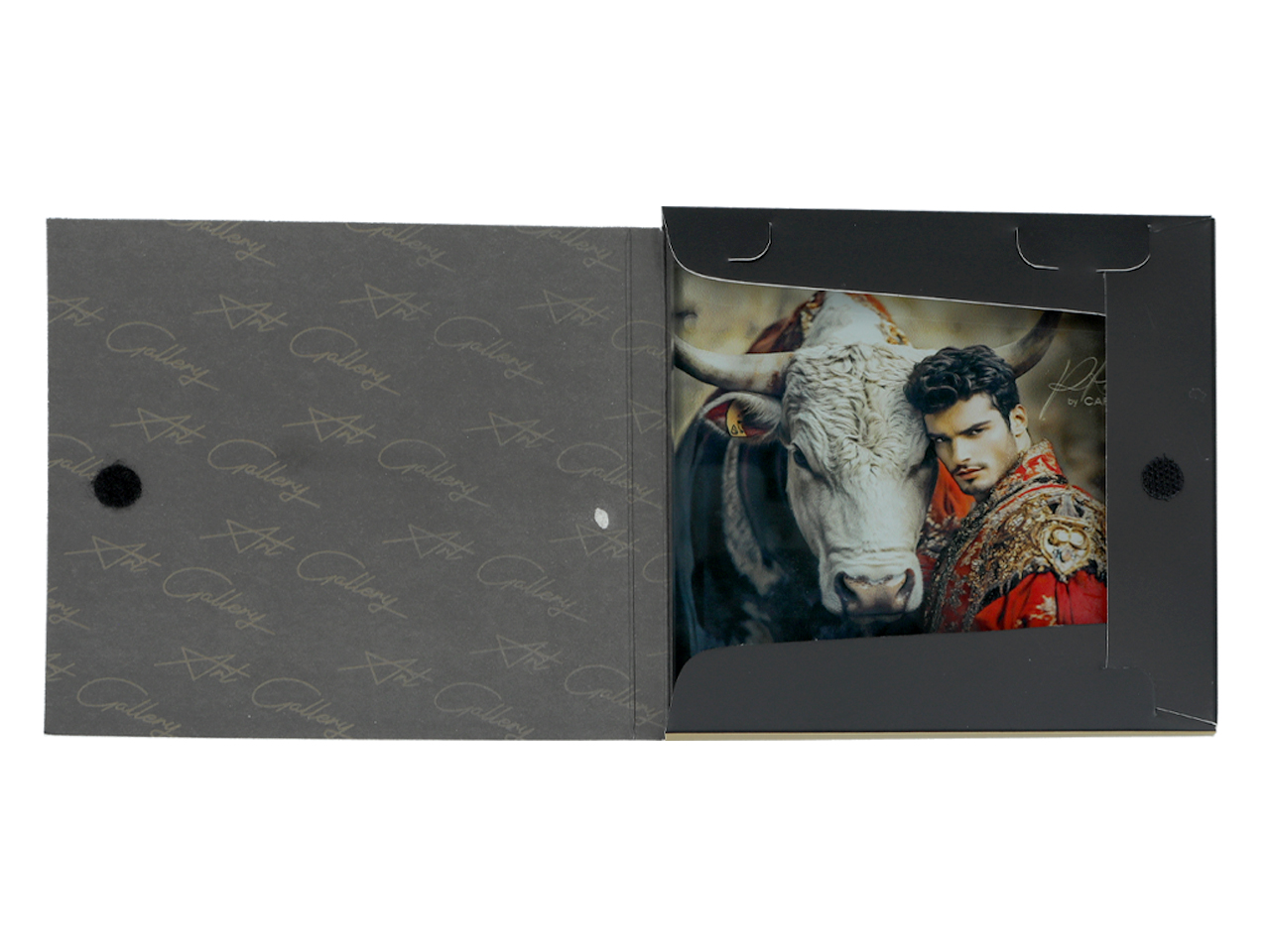 a865bff6dcd6a1493948625a5ab1a528