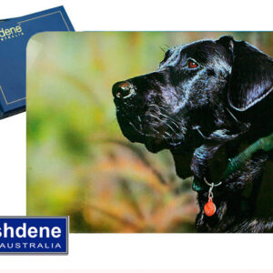 df37a30696aa7caaeb2825589c2a1f5d