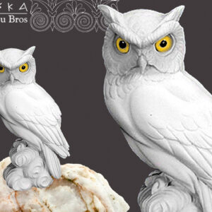 b60c26c4384fa4f47bdbce93975f019a