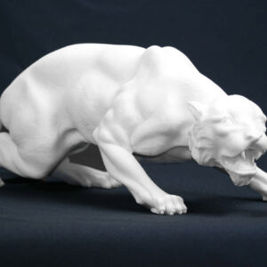 90619c8f9db5fe34630158b80b1fbea2