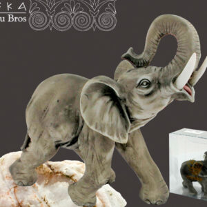 e186fd0b8fc904bb6fb3630d2fae0506